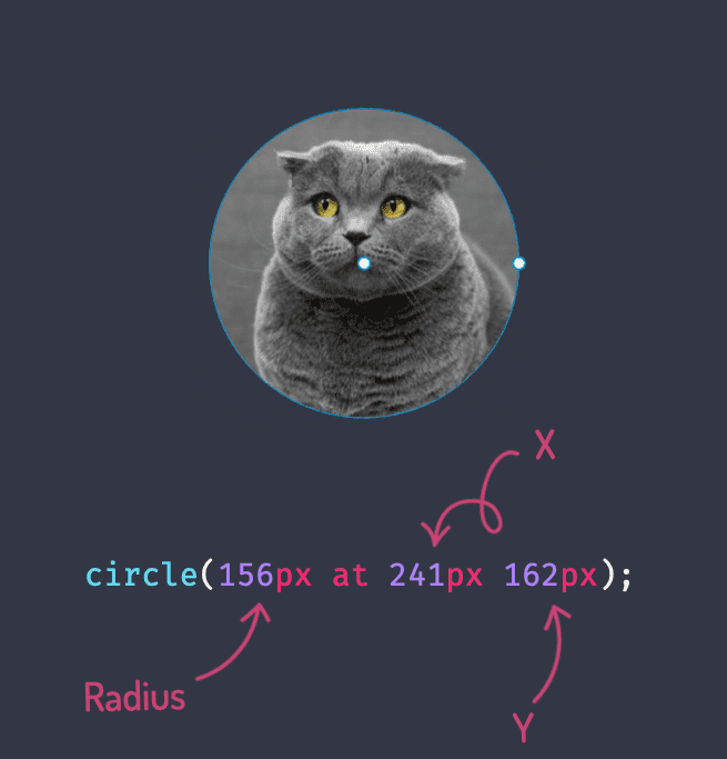 circle(156px at 241px 162px);