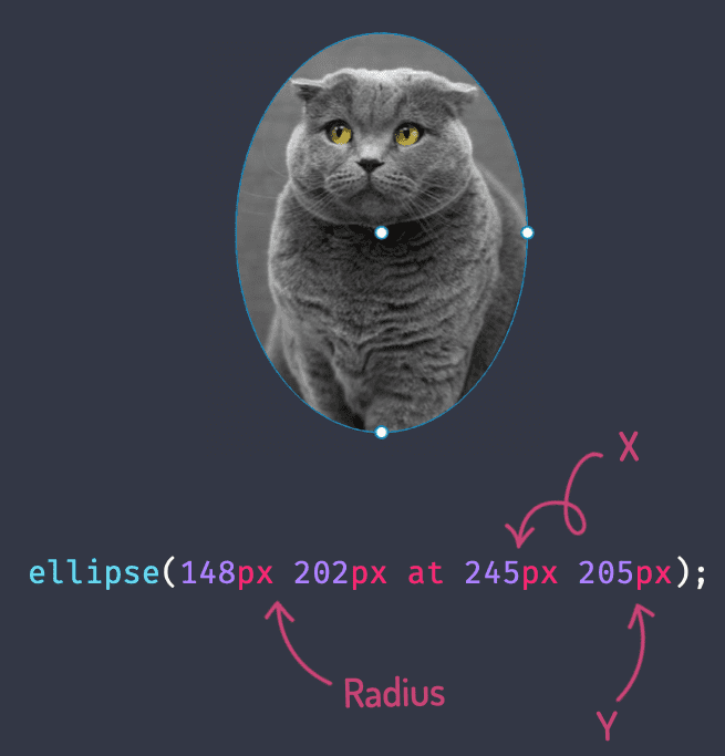 ellipse(148px 202px at 245px 205px);